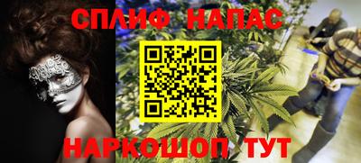 стаф Краснознаменск