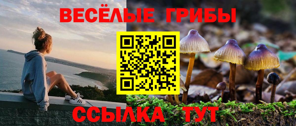 Коркино  Псилоцибиновые грибы прущие грибы  где купить наркотик  Вход с VPN 